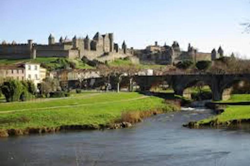 La Halte Du Canal Carcassonne Buitenkant foto
